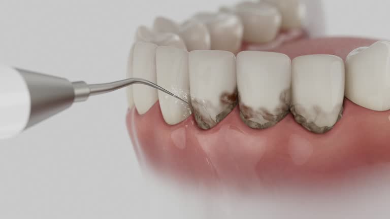 Reliable Dental contractor in Lyncourt, NY by Dentist Open Now
